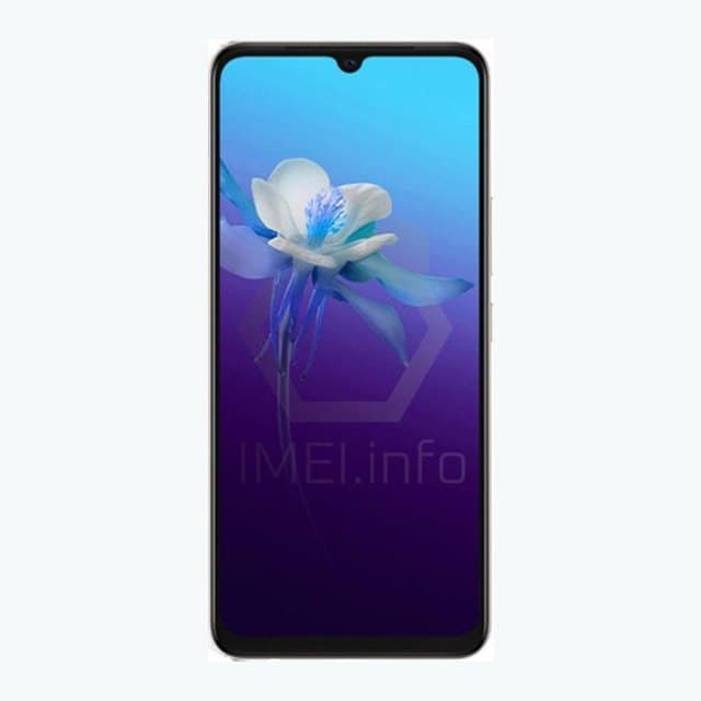 Vivo V20 phone image